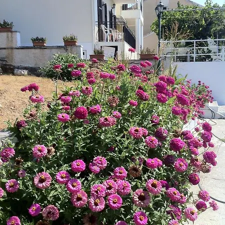 Apartamento Dimitrakis